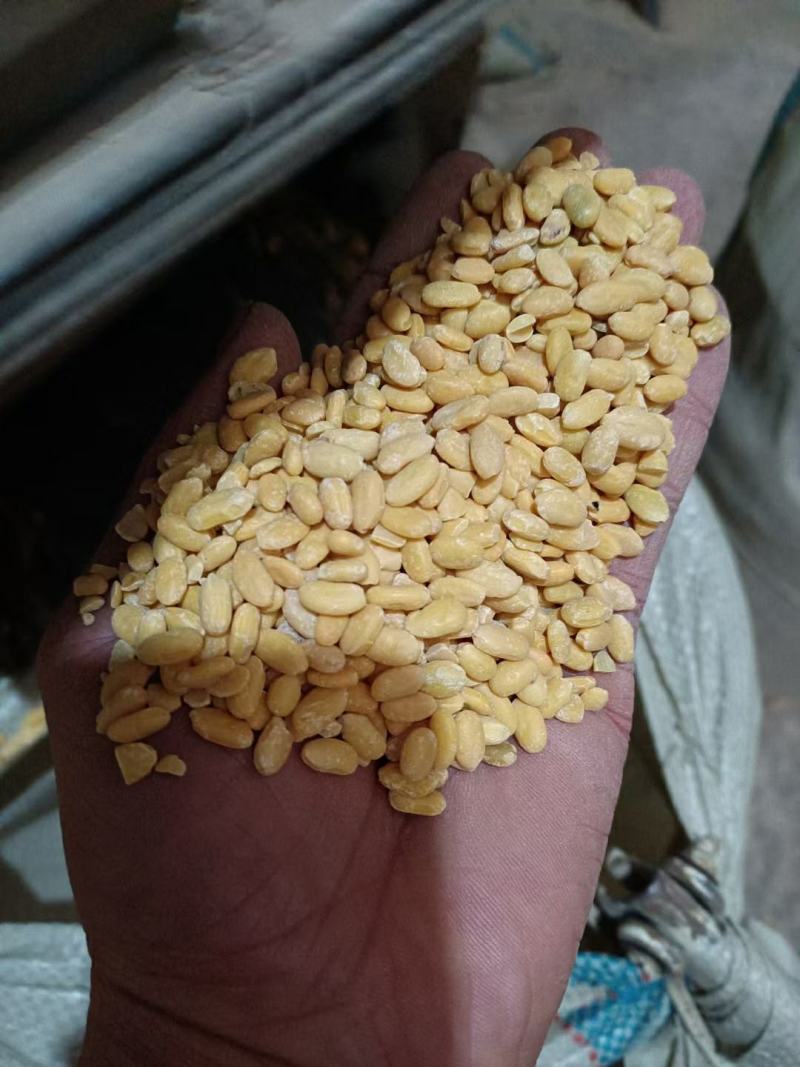 黑豆仁，脱皮黑豆仁内行都懂的全国发货
