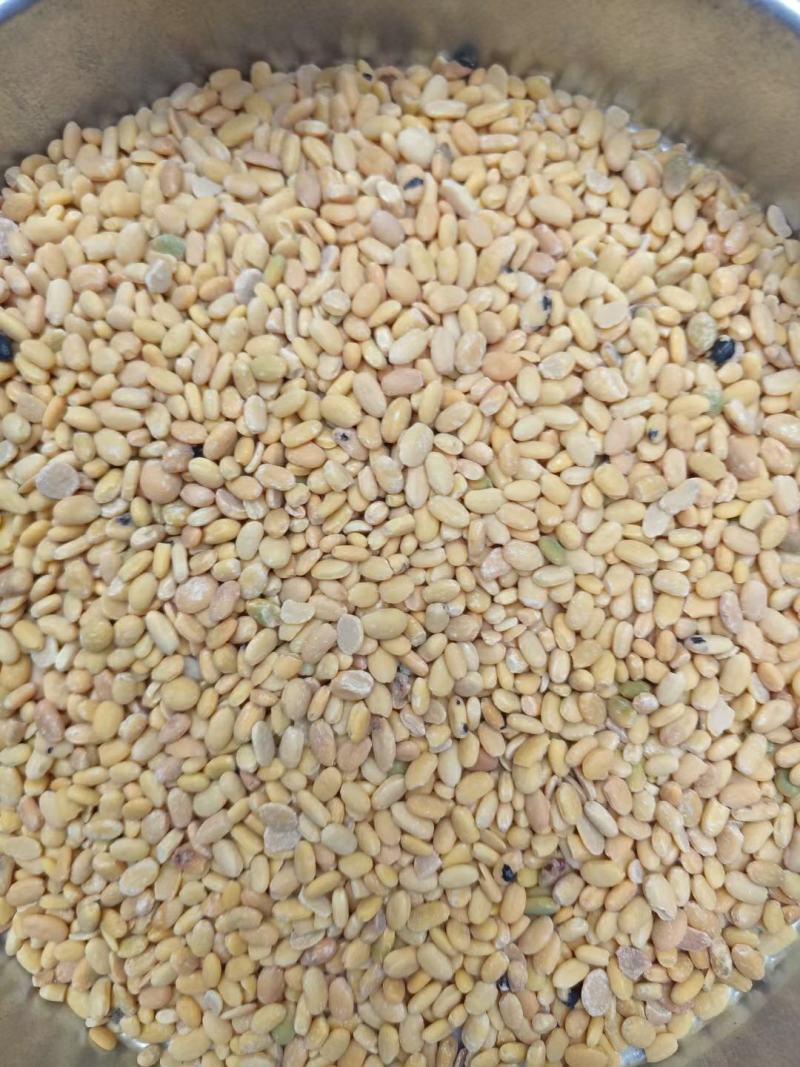 黑豆仁，脱皮黑豆仁内行都懂的全国发货