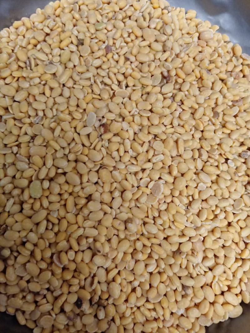 黑豆仁，脱皮黑豆仁内行都懂的全国发货