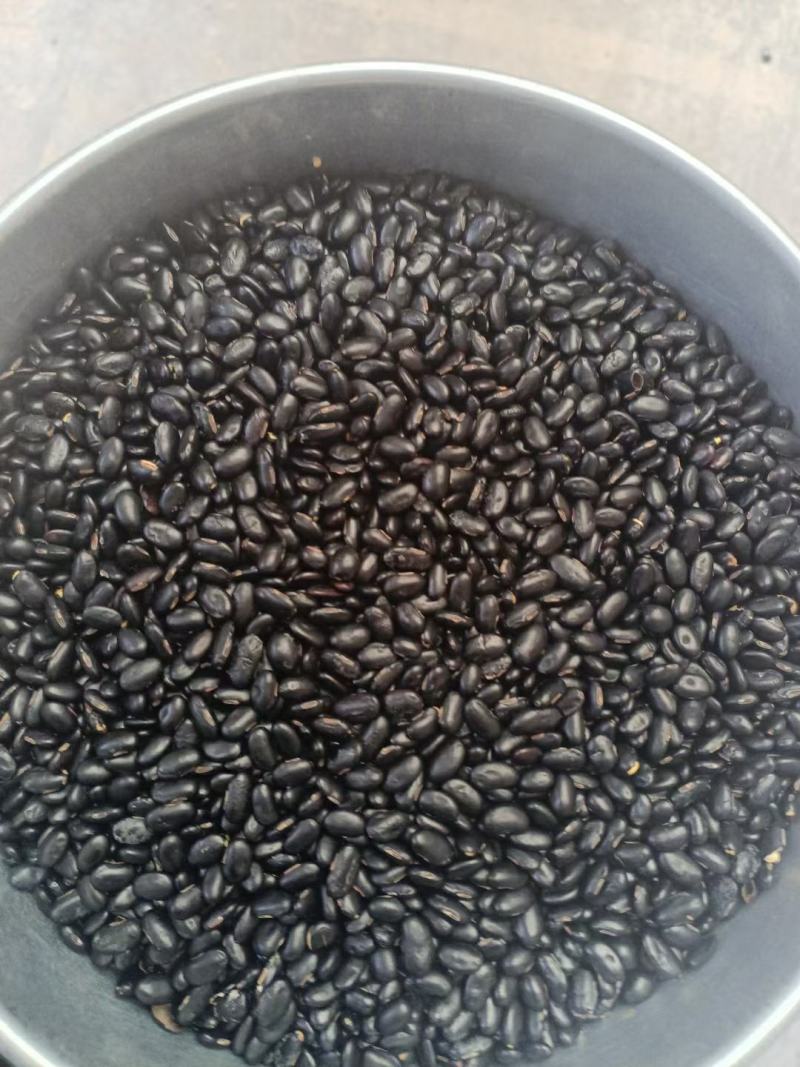 黑豆仁，脱皮黑豆仁内行都懂的全国发货