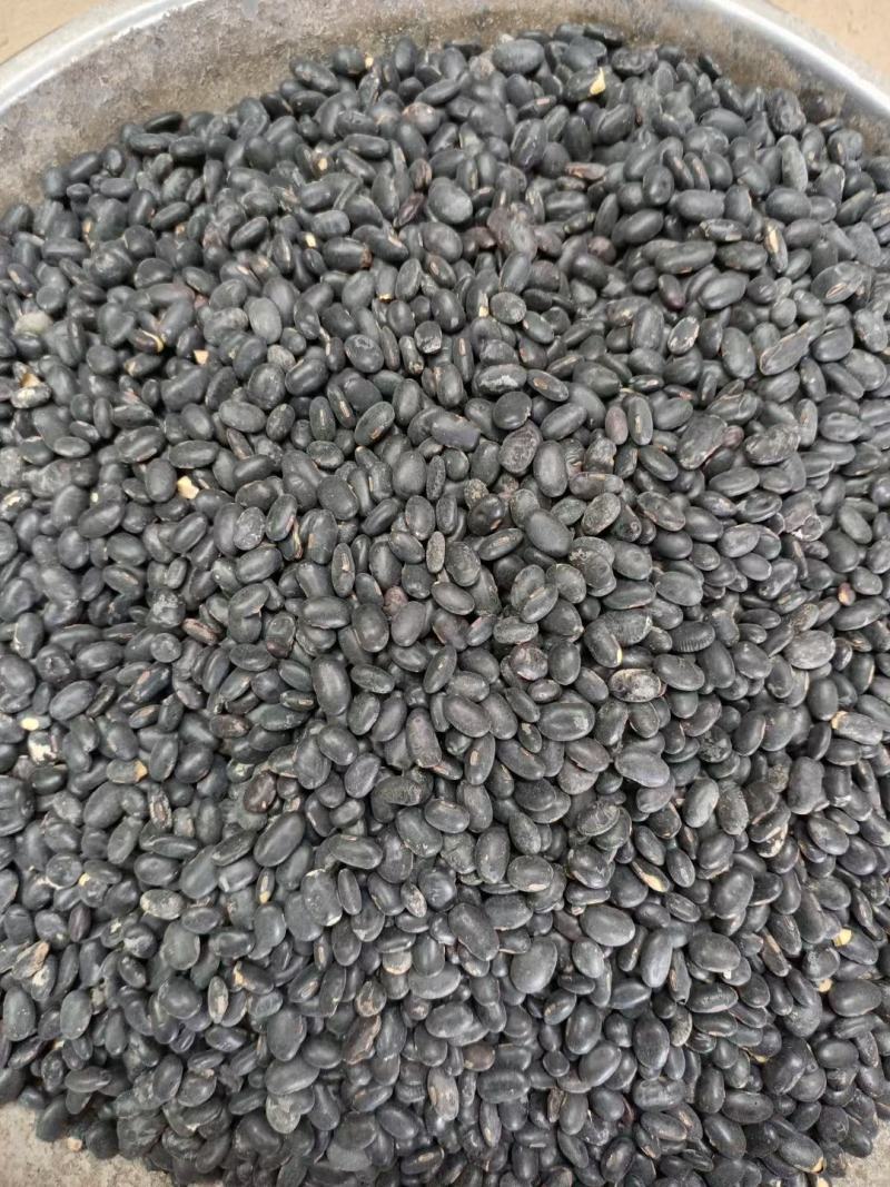 黑豆仁，脱皮黑豆仁内行都懂的全国发货