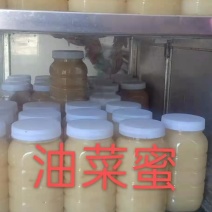 正宗百花蜜，柑橘蜜，油菜花蜜