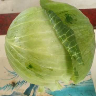 我们经营甘兰大量共应