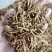 【文斌药业】远志炙远志统装货抽芯率百分之50地道药材