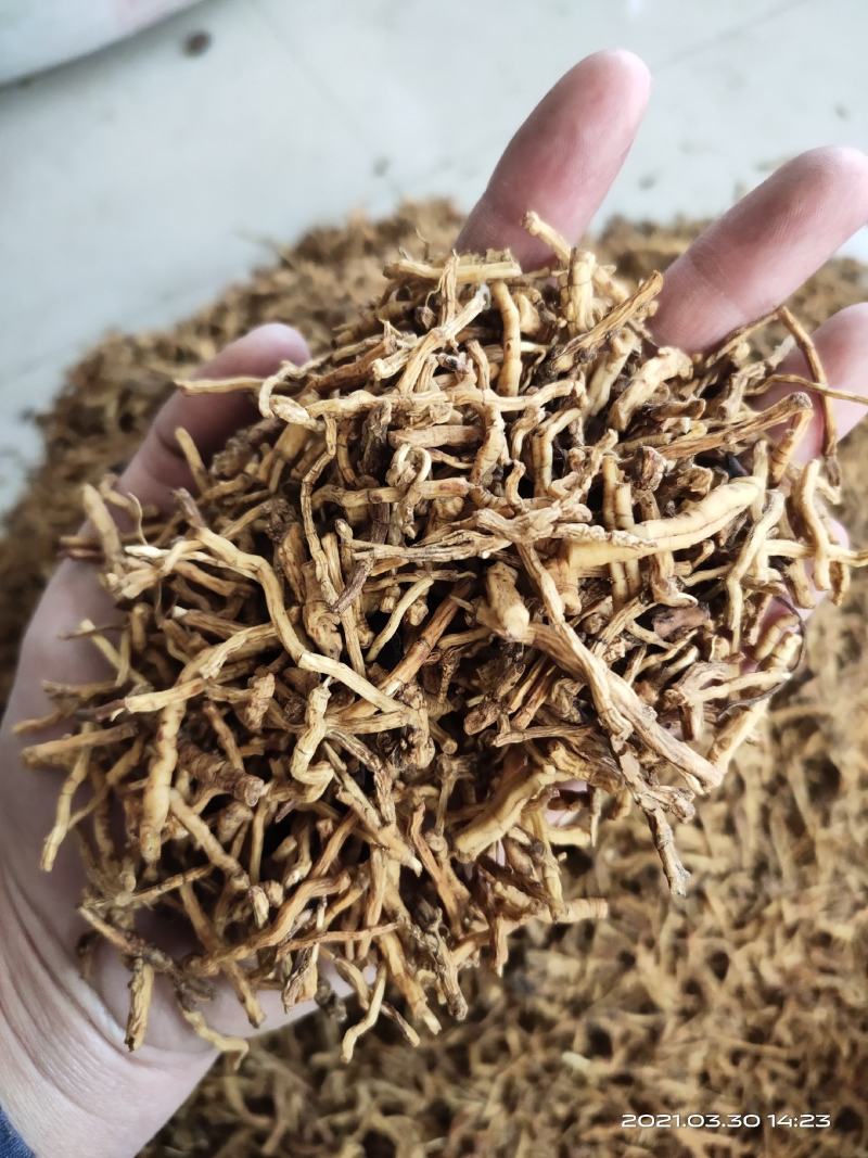 【文斌药业】远志炙远志统装货抽芯率百分之50地道药材