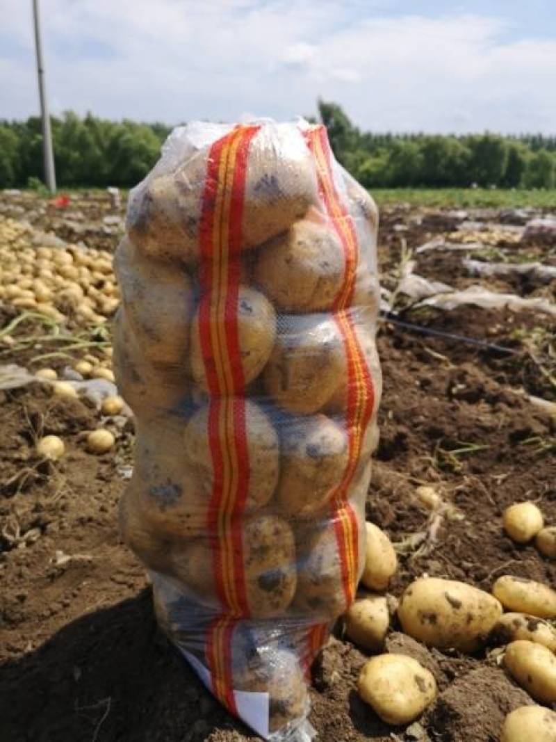 牡丹江尤金885土豆农产品代办