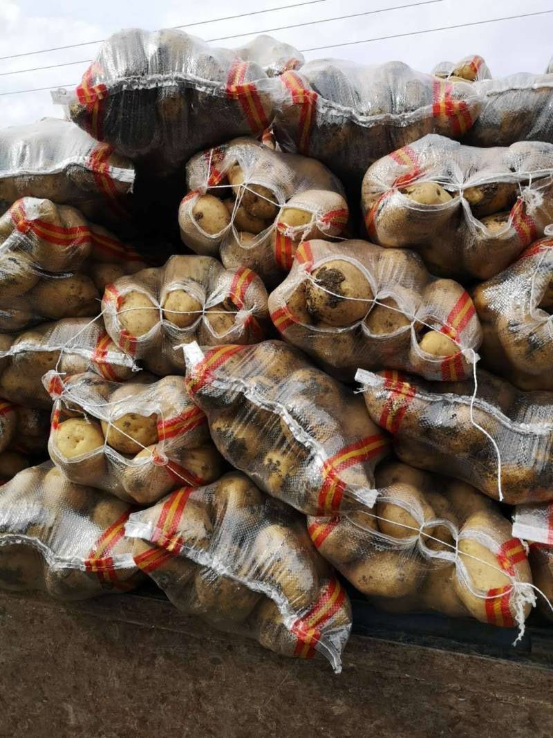 牡丹江尤金885土豆农产品代办