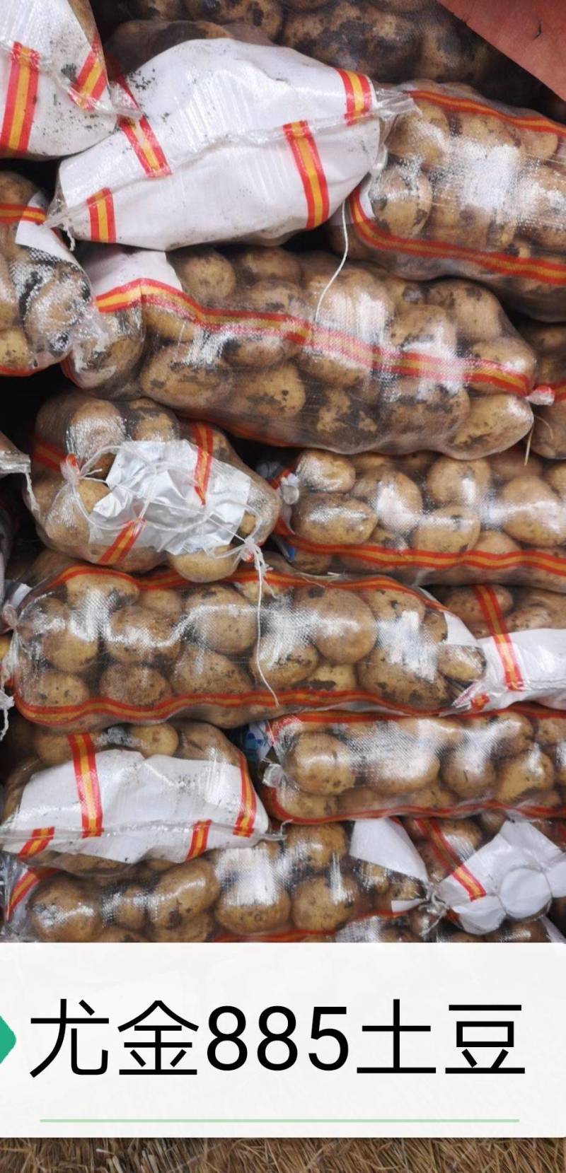 牡丹江尤金885土豆农产品代办