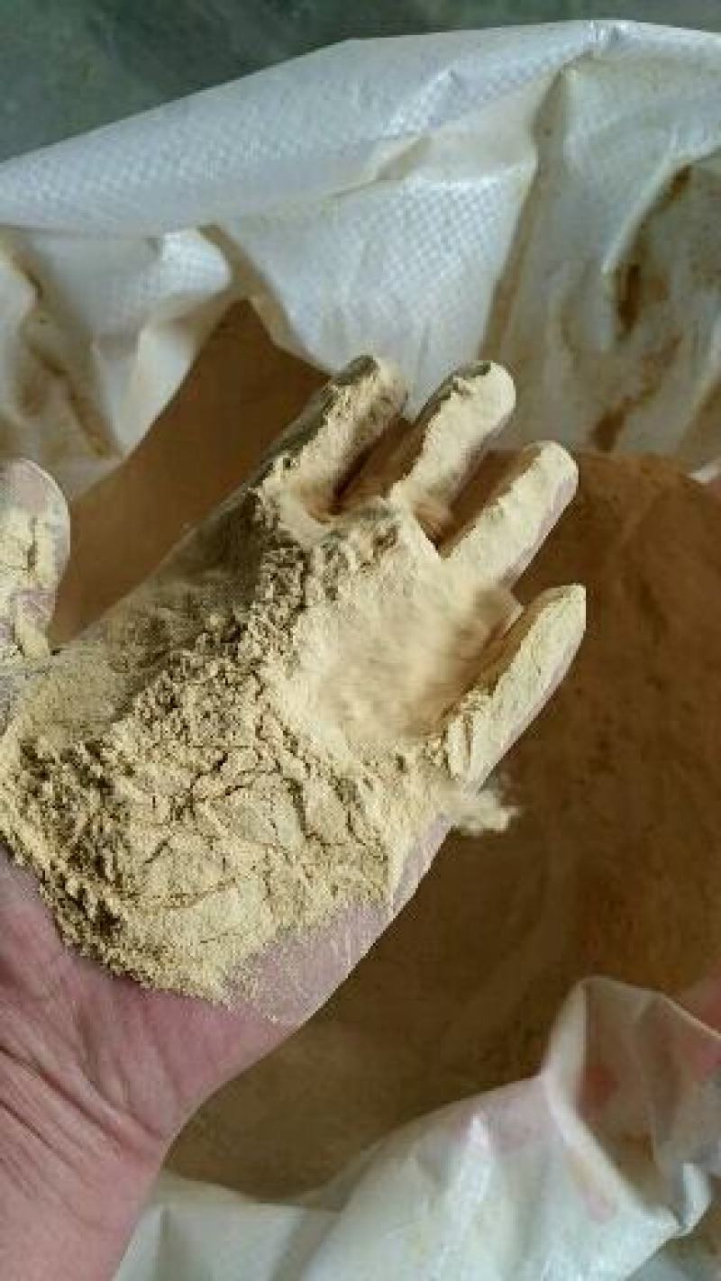 【荐】大豆胚芽粉大量低价出货全国发货一手货源保满意