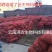 斛玛康玛卡片丽江黑玛卡干果干片120克罐装批发招代理