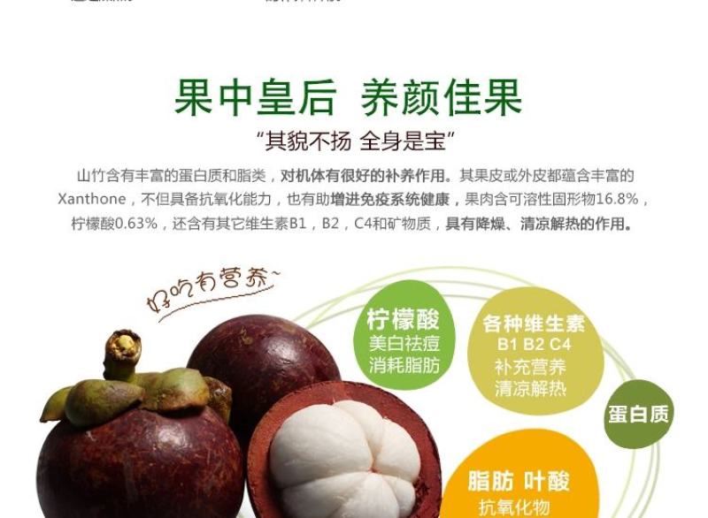 泰国山竹无籽树苗红肉山竹果树苗盆栽地栽当年结果宜北南方当