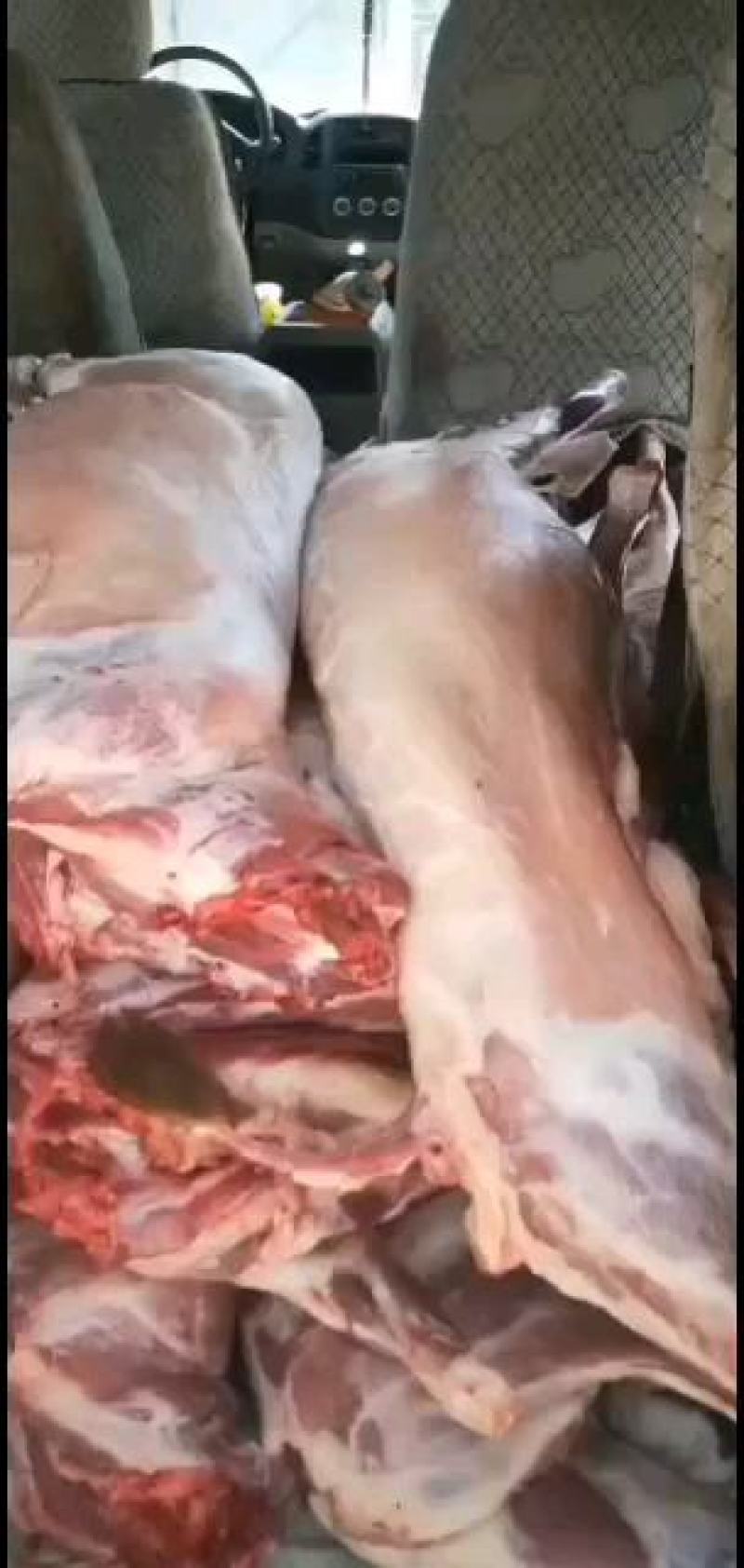 羊腿，纯干无水，大小规格，长年供应，需要的联系，