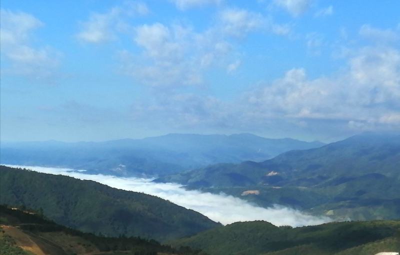 勐海县布朗山源头生普纯料