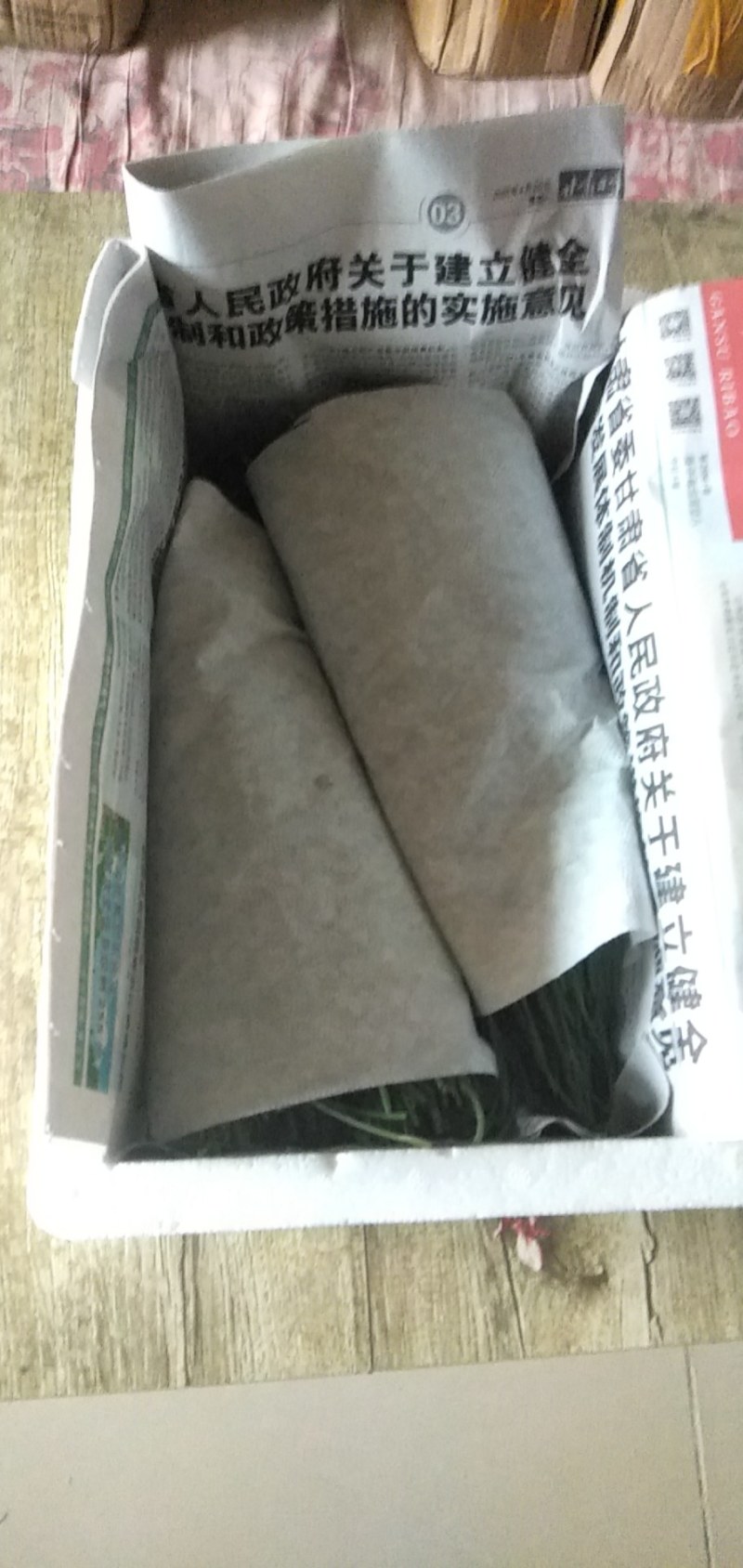 甘肃民勤特产沙葱，保鲜发货，货源稳定，现采发货