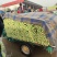 精品芹菜质量相当不错细跟，粗跟规格齐全质量保证可详谈