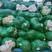 扁包菜河南基地大量供货支持市场加工厂包装齐全！！