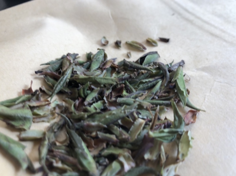 茶叶野生红茶云南古树茶