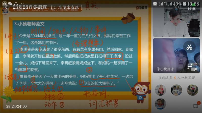 钙果苗高钙钙果苗~2年优质欧李苗《钙果苗专售》