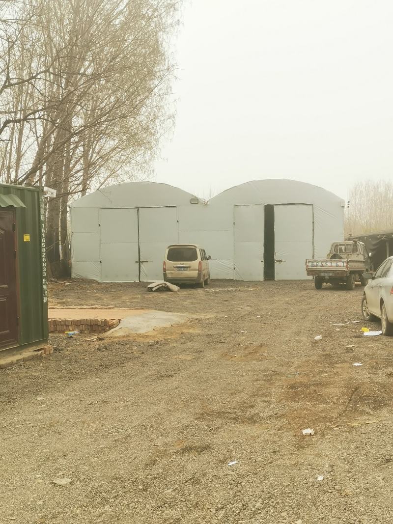 新鲜久红瑞甜瓜大量上市肉嫩味甜价格美丽产地直销