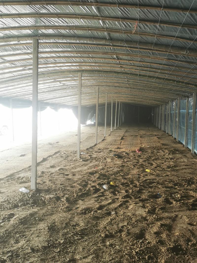 新鲜久红瑞甜瓜大量上市肉嫩味甜价格美丽产地直销