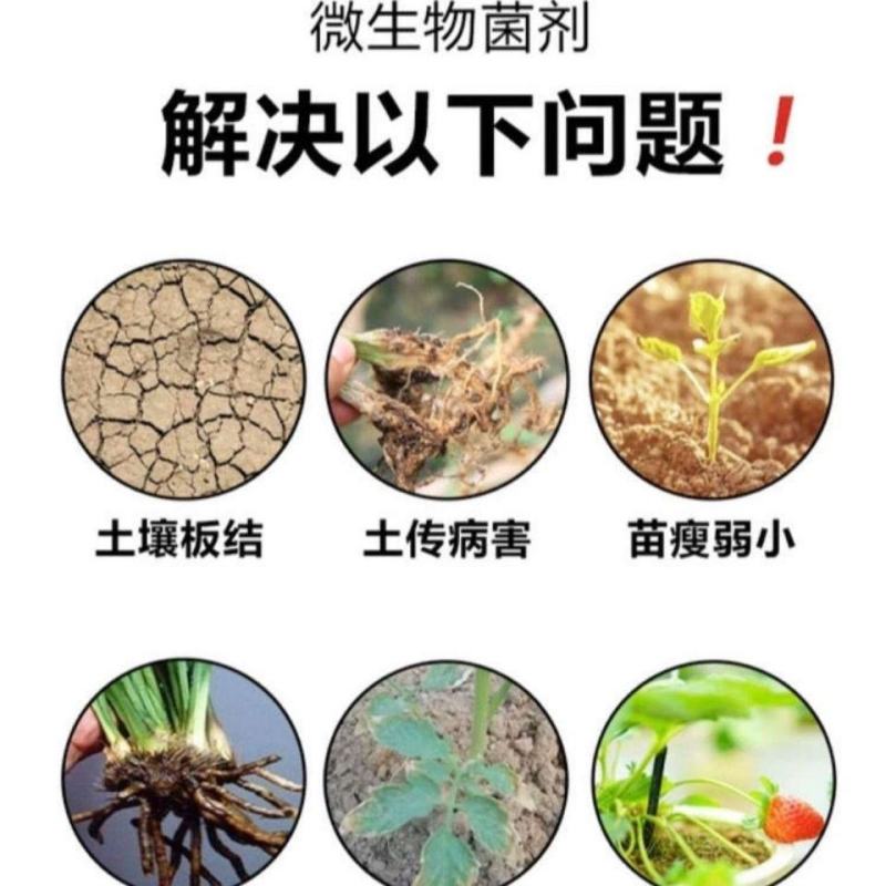 （精选）生物菌发酵腐熟纯猪有机肥料，菌种发酵（肥效持久