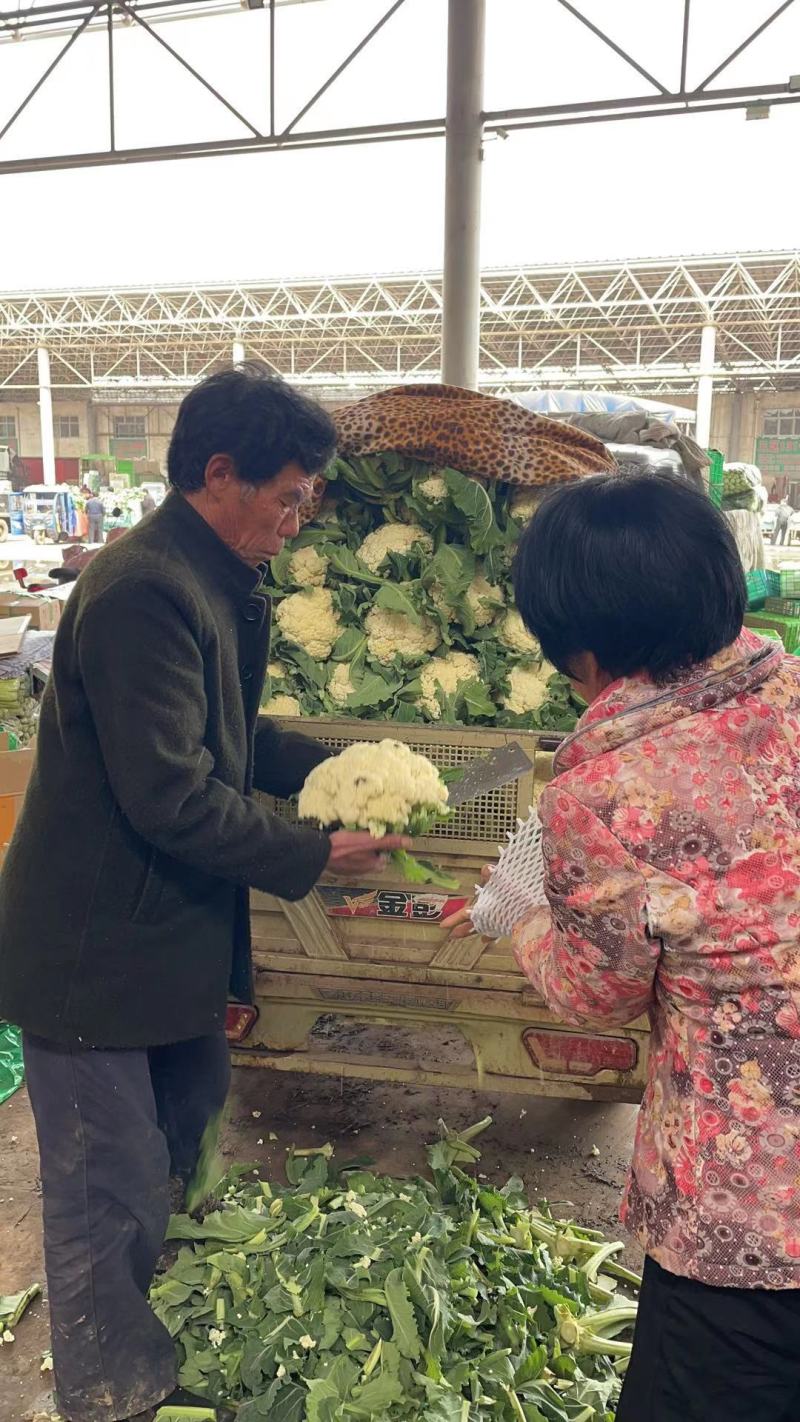 有机菜花，青梗白面，一颗2斤左右，松散度好