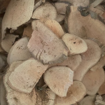 葡萄藤【包邮】三斤起发货可批量可零售量大从优