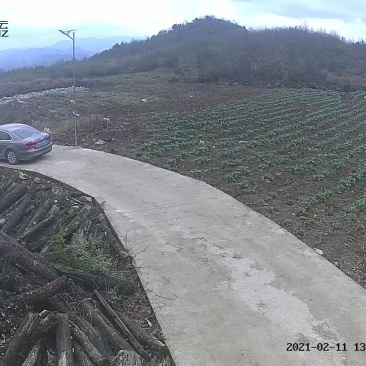 农业生态园寻求合作伙伴，