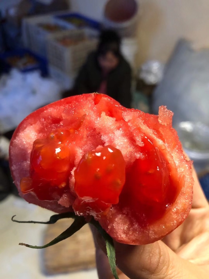 海阳西红柿，黄筋西红柿海阳番茄🍅普罗旺斯西红柿安特来斯