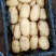精品新鲜黄心土豆大量预售中，支持各种包装，精品优质货