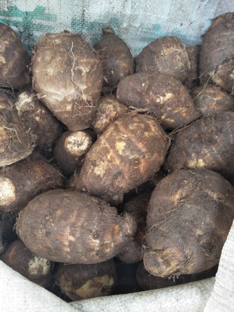 高山芋头，品质优良，