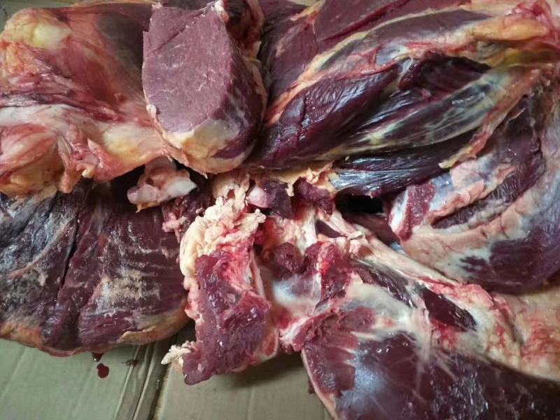 藏牦牛肉雪域高原上的天然牦牛肉牦牛肉牦牛肉牦牛肉