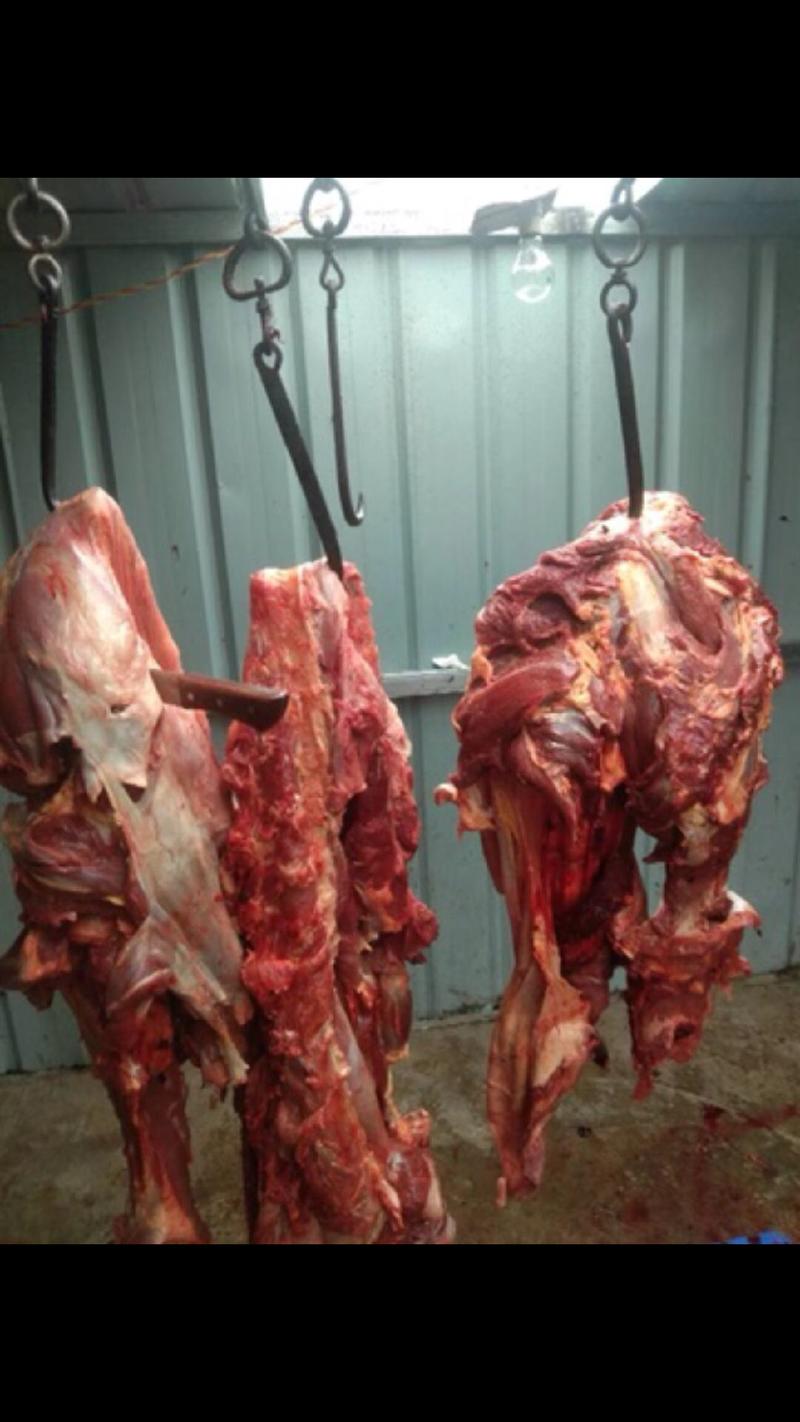 藏牦牛肉雪域高原上的天然牦牛肉牦牛肉牦牛肉牦牛肉