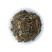 软肝草中药材野生铁甲草益肝草益肝草野生软肝草