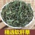 软肝草中药材野生铁甲草益肝草益肝草野生软肝草