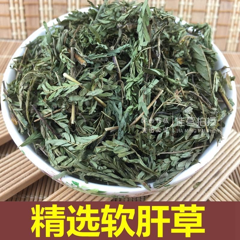软肝草中药材野生铁甲草益肝草益肝草野生软肝草