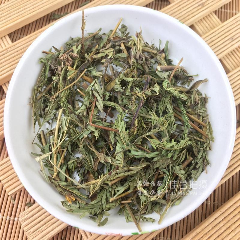 软肝草中药材野生铁甲草益肝草益肝草野生软肝草
