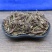 软肝草中药材野生铁甲草益肝草益肝草野生软肝草