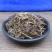 软肝草中药材野生铁甲草益肝草益肝草野生软肝草