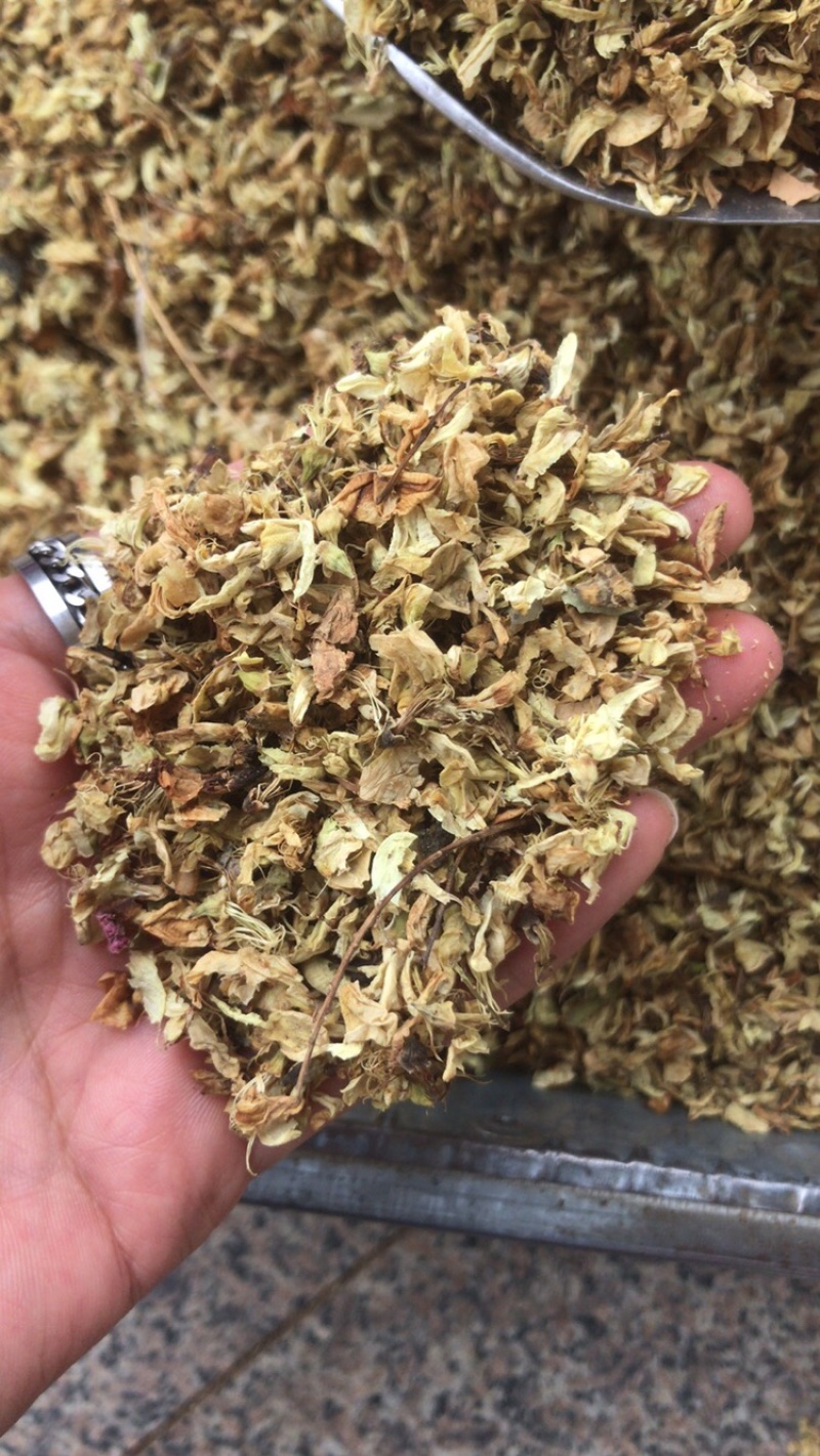 槐花药用槐花实物拍摄中药材洋槐花