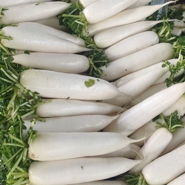 各种蔬菜，发往全国各地