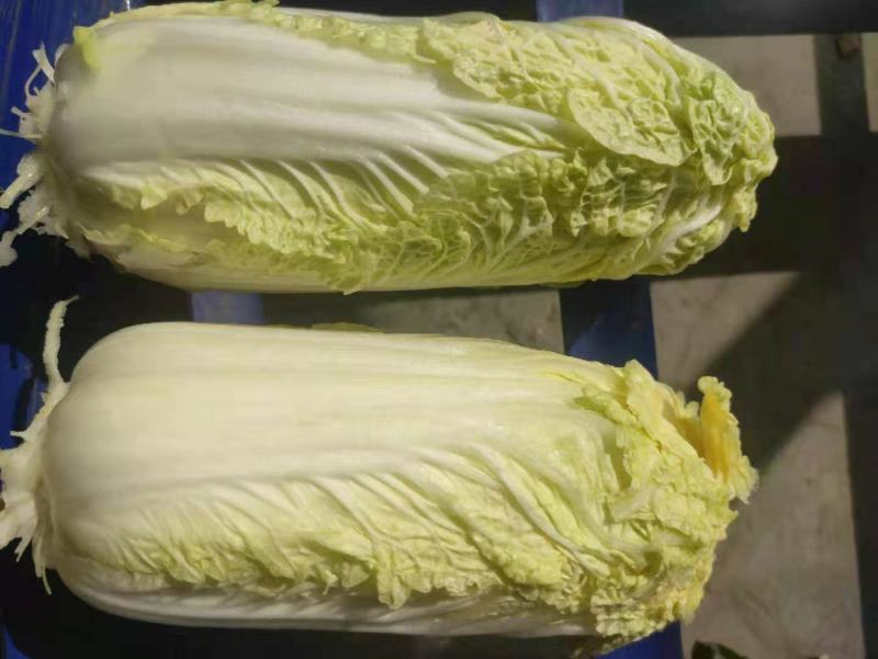 冷库清库处理娃娃菜原包毛菜45-50颗，精加工均可四元