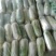 冷库清库处理娃娃菜原包毛菜45-50颗，精加工均可四元