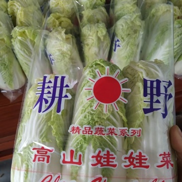 冷库清库处理娃娃菜原包毛菜45-50颗，精加工均可四元