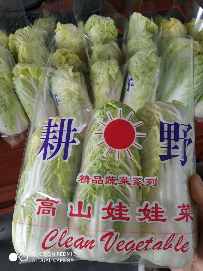 冷库清库处理娃娃菜原包毛菜45-50颗，精加工均可四元