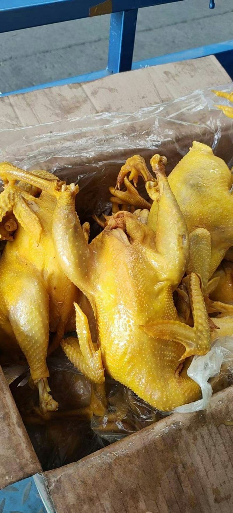 盐焗鸡熟食店卤菜店跑江湖地摊产品