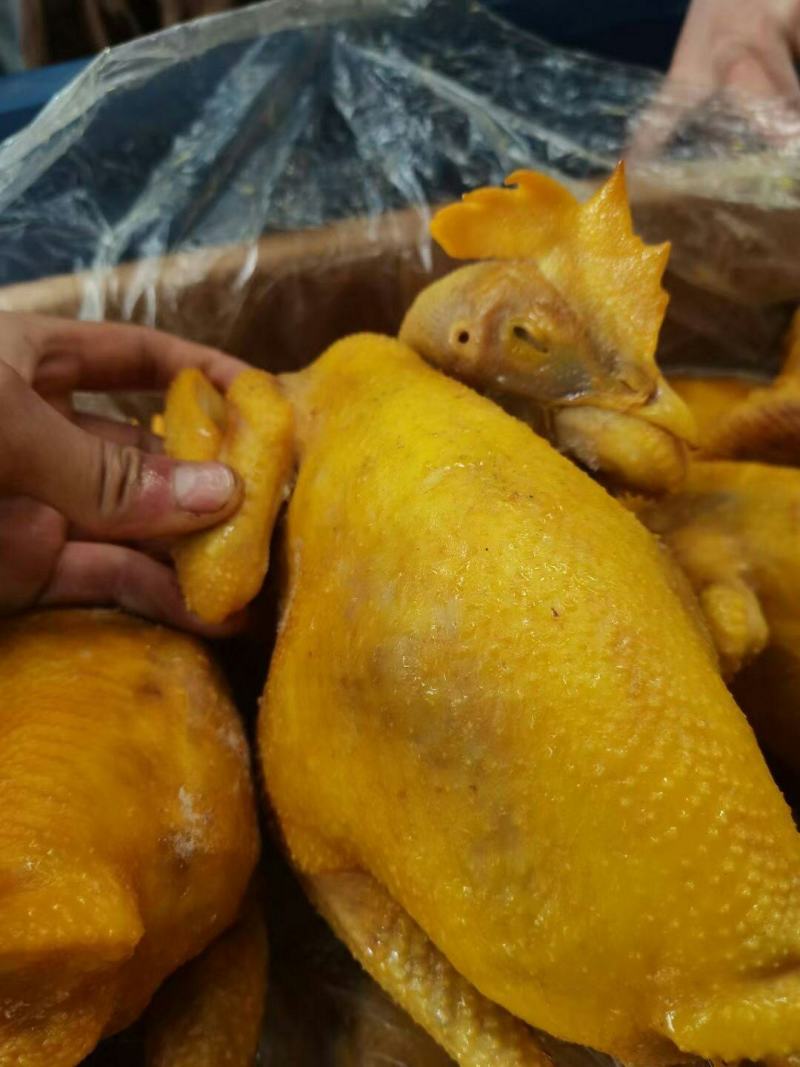 盐焗鸡熟食店卤菜店跑江湖地摊产品