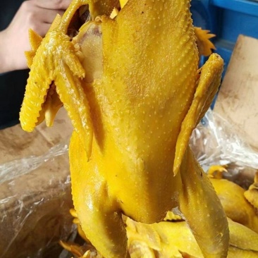盐焗鸡熟食店卤菜店跑江湖地摊产品