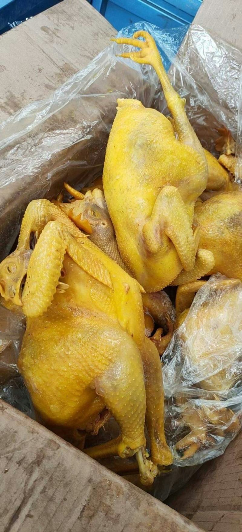 盐焗鸡熟食店卤菜店跑江湖地摊产品
