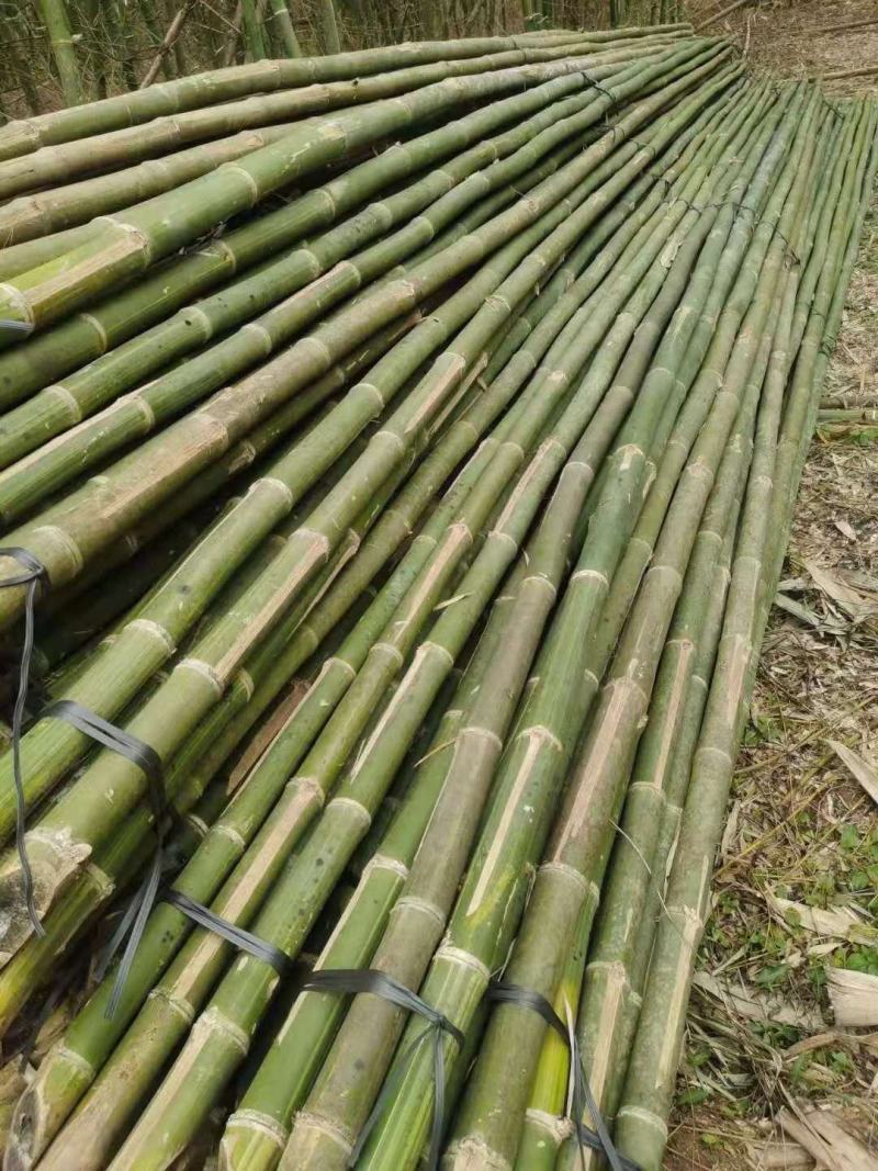 绿化竹竿大量批发，质量美丽，价格实惠。欢迎各位老板来厂考